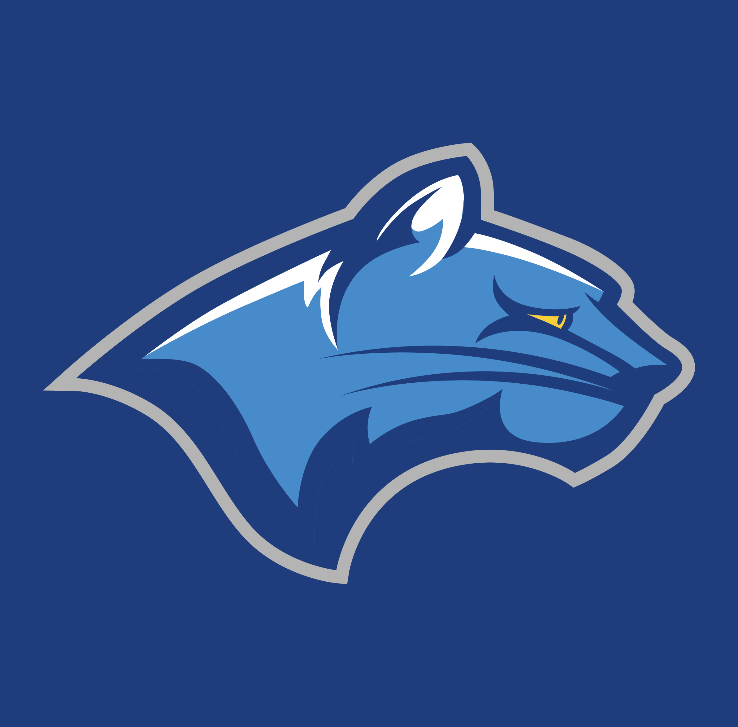 calvary-day-school-vs-westchester-country-day-school-wildcats-soccer